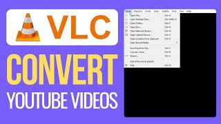 How to Convert Youtube Video to MP3MP4 2024  Best Method [upl. by Rubbico]