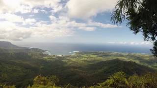 Hihimanu Ridge Trail Kauai [upl. by Avilo]