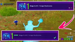 How to complete Forage Mushrooms Fortnite [upl. by Anaig234]