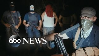 Cartel Land Explores Deadly Consequences of Illegal Drug Trade [upl. by Rovit]