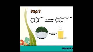 Synthesis of Piperine from Catechol [upl. by Anaujal]