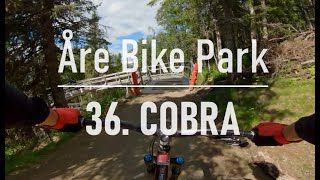 Åre Bike Park  36 Cobra [upl. by Selestina]