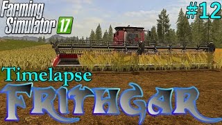 Farming Simulator 2017 Timelapse 12 Harvest With The Case 9230 [upl. by Avelin]