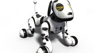 Zoomer Toy Dog Review 2013 [upl. by Ennahteb]