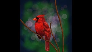 Digital Painting Timelapse  Painting of a Cardinal [upl. by Binnings]