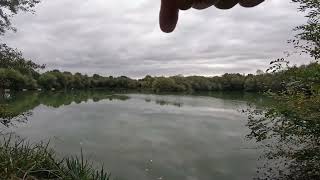 Cat fishing Par fishery Brentwood With Lee Byrne [upl. by Gertrudis]