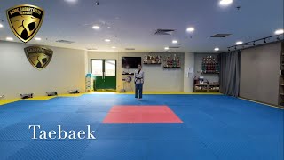 Taebaek Poomsae [upl. by Drarig]