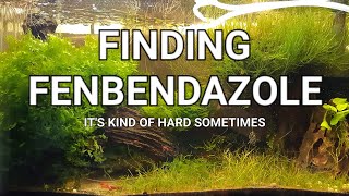 Where to Find Fenbendazole [upl. by Lonyer]