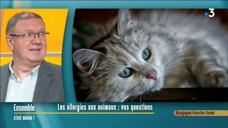 La question des allergies aux poils d’animaux avec un allergologue [upl. by Sarita]