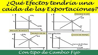 ¿QUE EFECTOS TENDRIA UNA CAIDA DE LAS EXPORTACIONES [upl. by Iba]