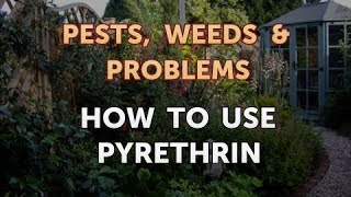 How to Use Pyrethrin [upl. by Cahra]