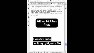 Show hidden files in SageMaker Studio Notebooks Jupyter Notebooks and JupyterLab aws python [upl. by Aniala]