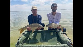 Carp Fishing at Bloemhof Dam carpfishing bigcarp carp fish fyp [upl. by Edac977]