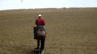 2008 Extreme Mustang Makeover Finalist David Carter and Silverado [upl. by Alley462]