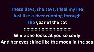 Al Stewart  Year of the Cat KARAOKE [upl. by Calesta368]