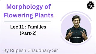 Morphology of Flowering Plants ☘️ 11 [upl. by Barbara-Anne]