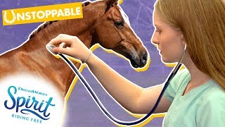 All About Equine Veterinary Care  THATS THE SPIRIT [upl. by Idhem]