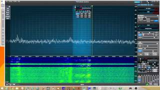 Demo of Wellbrook ALA100M Active ANT on Flex 6300 [upl. by Matti]