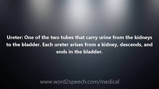 Ureter  Medical Definition and Pronunciation [upl. by Nylatsyrc]