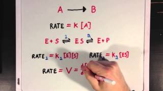 An Introduction To Enzyme Kinetics [upl. by Ellan]