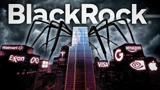 BlackRock The Conspiracies You Don’t Know [upl. by Martsen684]