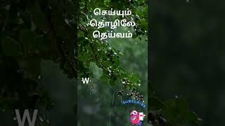 7 Proverbs in English and Tamil  Spoken English in Tamil spokenenglishintamil shorts [upl. by Garrard]