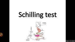 Schilling test [upl. by Ahsetan]