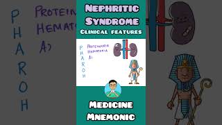 Nephritic Syndrome Clinical Features  mnemonic  shorts [upl. by Gilbert495]