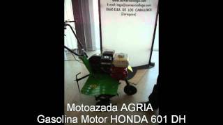 Motoazada Agria Motor Honda [upl. by Cavanaugh]