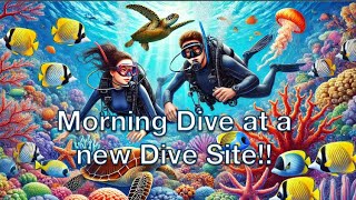 Morning Dive at a new location TT Replay 112224 [upl. by Nnarefinnej]