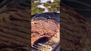 Steak time cooking meat آشپزی travel camping steak [upl. by Eleinad323]