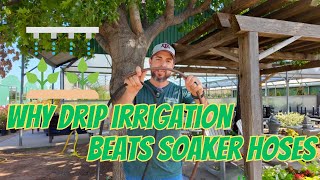 Why Drip Irrigation Beats Soaker hoses [upl. by Casmey]