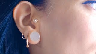 Tragus Piercing What You Should Know Before You Go [upl. by Ahsauqal845]