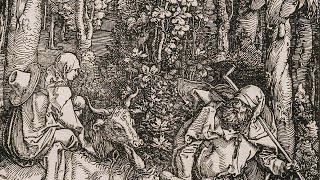 Albrecht Dürer the printmaker  National Gallery [upl. by Tehc]