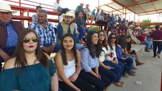 Lo Mejor de Los Coleaderos en Lienzo Charro Pepe Quezada Feria Regional Jalpa 2017 [upl. by Stockton]