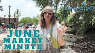 June Market MinuteNorthbrook Illinois real estate [upl. by Gadmann]