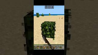 I found a Rabbit then this happened 😕  MINECRAFT [upl. by Airotal]