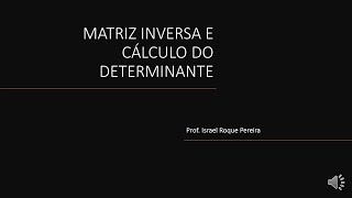 Matriz Inversa e Determinantes de matrizes de ordens 1 2 e 3 [upl. by Hakym]