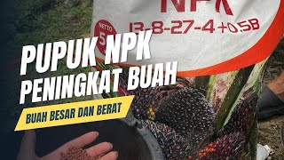 Pupuk khusus peningkatan hasil panen Npk pak tani 138274Te  B super boosq [upl. by Anwat]