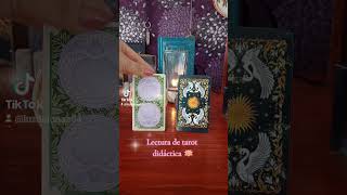 Lectura de tarot didáctica 🪷 [upl. by Gemma4]