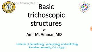 Trichoscopy basic Part 1 Amr Ammar MD [upl. by Kolnos]