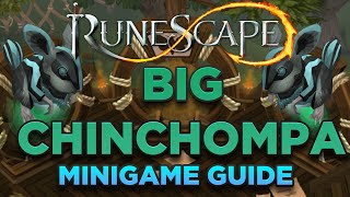 Runescape  BIG CHINCHOMPA Minigame GUIDE UPDATED 2021  FREE HUNTER XP [upl. by Nanreit859]