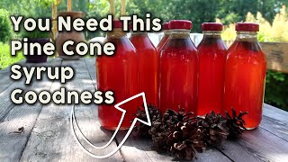 Pine Cone Syrup  Delicious and Healthy  How to Make [upl. by Benetta332]