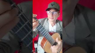 EL SOLAR DE MONIMBO FOLKLORE NICARAGÜENSE DE DON CAMILO ZAPATA guitarcover guitarramusica [upl. by Akcinahs]