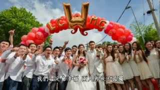 Lee Chong Wei Wedding Video [upl. by Pendleton]