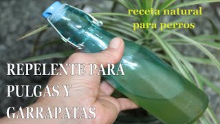 Repelente para PULGAS Y GARRAPATAS 1 TIP y receta para casa  Repellent for fleas and ticks [upl. by Miun]