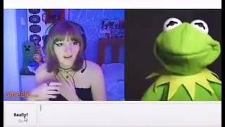 Kermit Gets A Little Wild On Omegle [upl. by Yldarb]