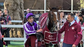 An Honest Day Punting  Longchamp  Part 1 [upl. by Ienttirb849]