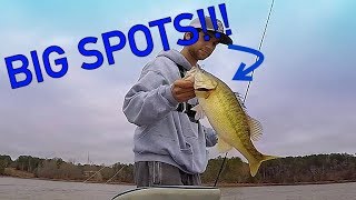 Searching for BIG Spotted Bass on Lake Wedowee [upl. by Salamanca]