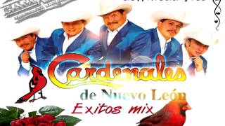 cardenales de nuevo leon mix exitos [upl. by Aihcela824]